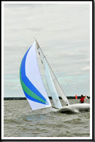 proof_2010_EScows_A 732