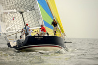 2013 Vineyard Race A 312