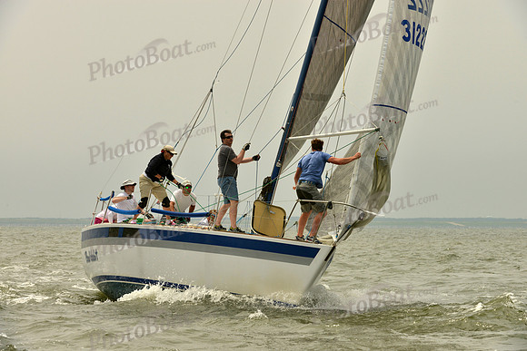 2016 Southern Bay Race Week A_0784