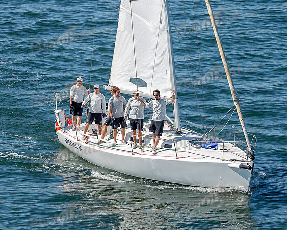 DBP_1273