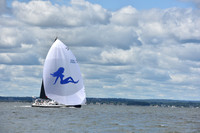 2021 Vineyard Race A 2131