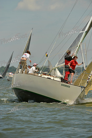 2016 Southern Bay Race Week F_1069