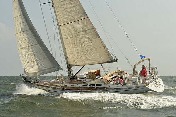 2015 Vineyard Race A 421
