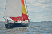 2016 Vineyard Race A_0475