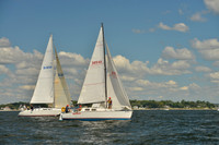 2016 Vineyard Race A_0250