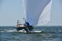 2019 Vineyard Race A_1937