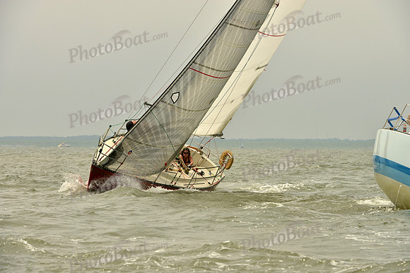2016 Southern Bay Race Week A_0773