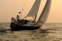 2011 Vineyard Race B 657