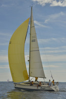 2016 Vineyard Race A_0741