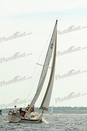 2014 NYYC Race Week A 778
