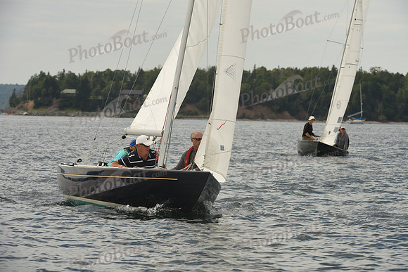 2016 Chester Race Week F_0262