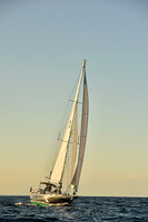 2016 Newport Bermuda Race_2792