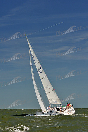 2014 Southern Bay Race Week D 1115
