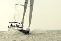 2015 Vineyard Race B 736