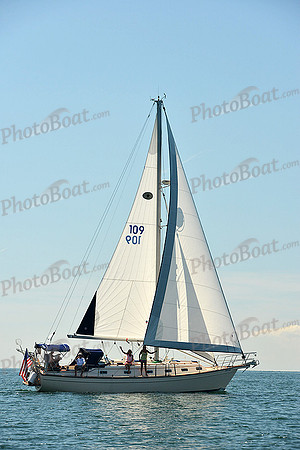 2015 Cape Charles Cup C 271