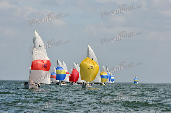 2012 Thistle Midwinters B 1381