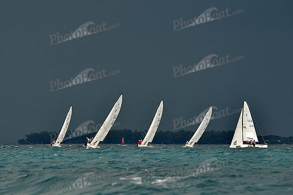 2014 Key West Race Week B 774