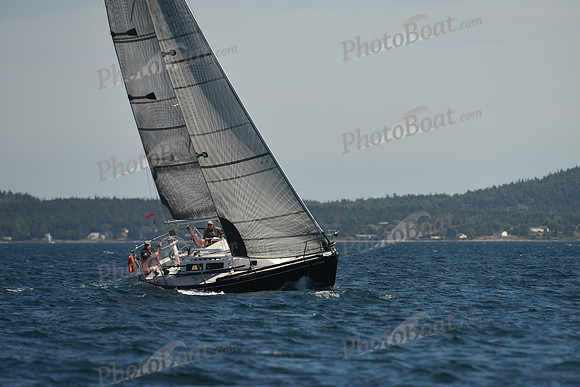 2016 Chester Race Week A_0474