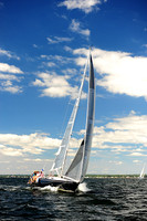 2014 Vineyard Race A 388