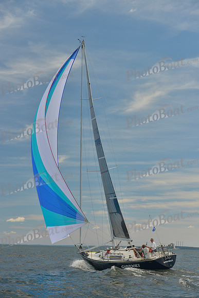 2016 Vineyard Race A_0686