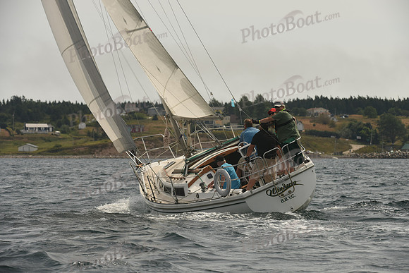 2016 Chester Race Week C_0767