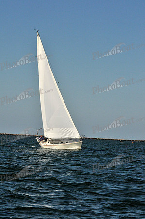 2010 Leukemia Cup 093