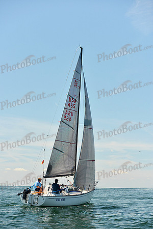 2015 Cape Charles Cup C 706