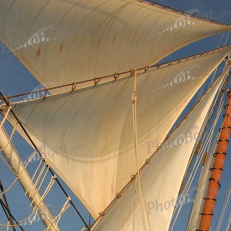 Schooner Jib