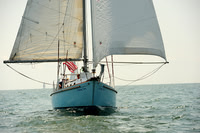 2014 Cape Charles Cup A 1353