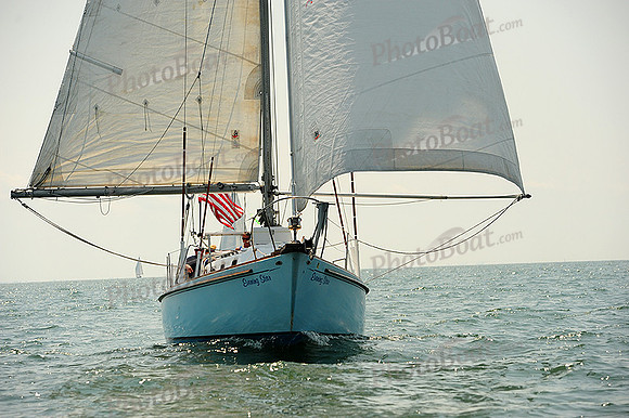 2014 Cape Charles Cup A 1353