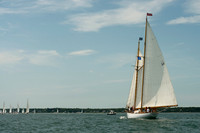 2018 Vineyard Cup B_0259