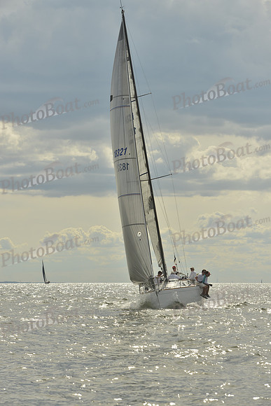2016 Vineyard Race A_1447