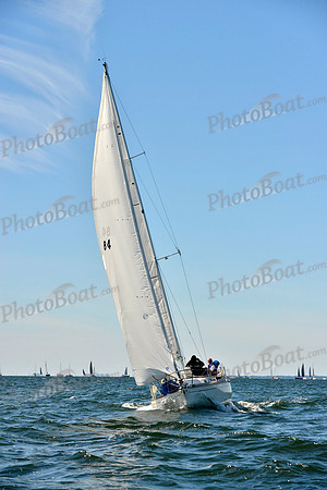 2017 Vineyard Race A_0299
