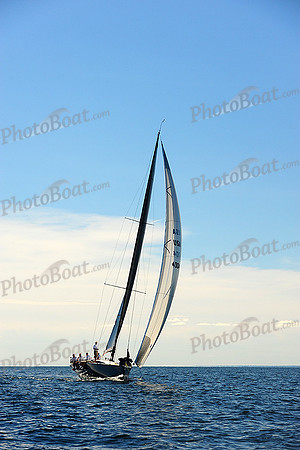 2014 Vineyard Race A 1883