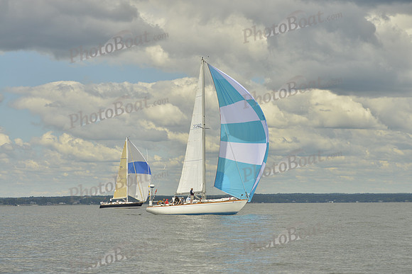 2016 Vineyard Race A_1012
