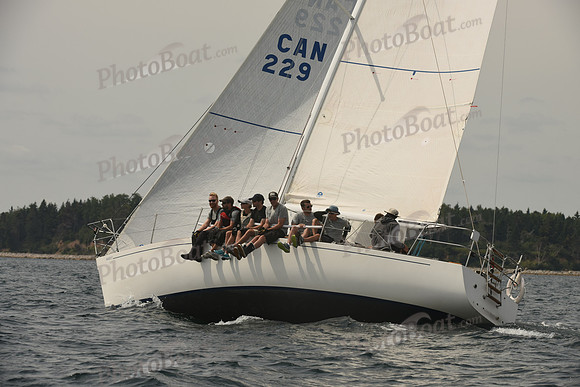 2016 Chester Race Week C_0365