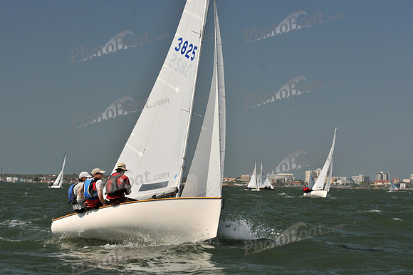 2012 Thistle Midwinters B 932