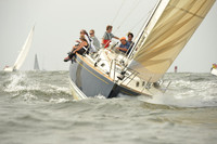 2015 Vineyard Race A 228