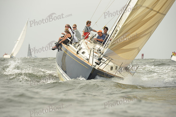 2015 Vineyard Race A 228