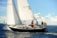 2014 Vineyard Race A 254