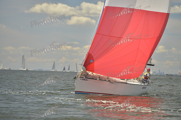 2016 Vineyard Race A_0363