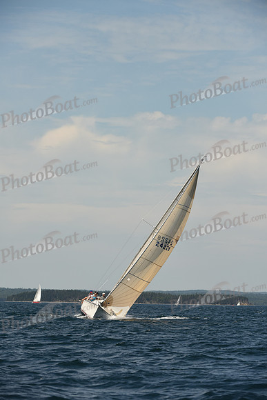 2016 Chester Race Week A_0727
