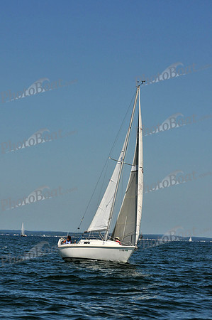 2010 Leukemia Cup B 382