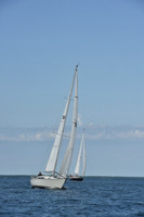 2019 Around Marthas Vineyard A_1366