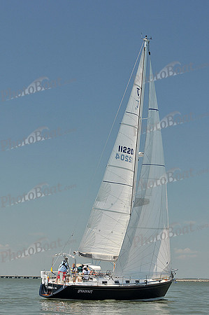 2013 Southern Bay Race Week A 389