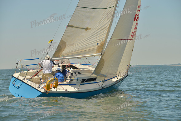 2017 Southern Bay Race Week B_1321