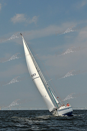 2013 Gov Cup A 538