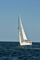 2010 Leukemia Cup B 521