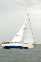 Shearwater