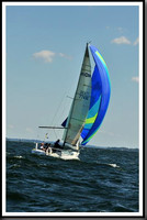 proof_2010_Vineyard_Race_0274